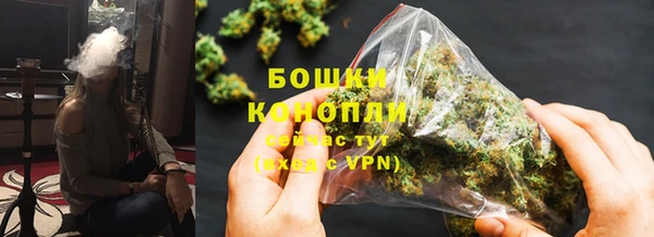 прущие грибы Кулебаки