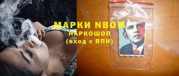 прущие грибы Кулебаки
