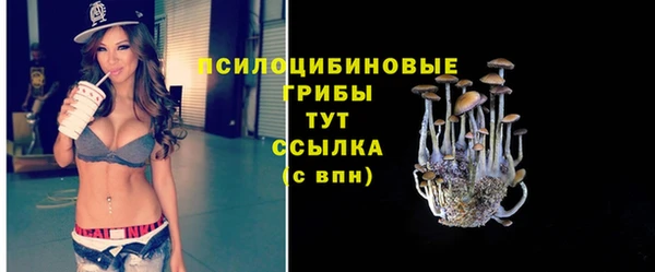 гашишное масло Кукмор