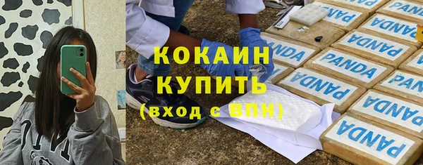 прущие грибы Кулебаки