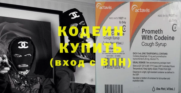прущие грибы Кулебаки
