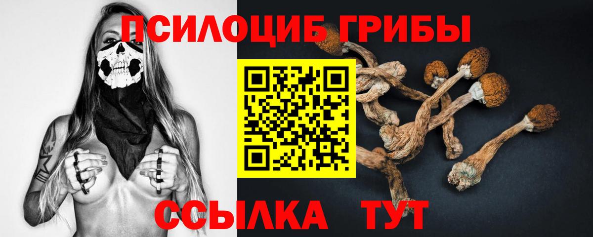 Галлюциногенные грибы ЛСД  Вход с VPN  сколько стоит  Липецк 