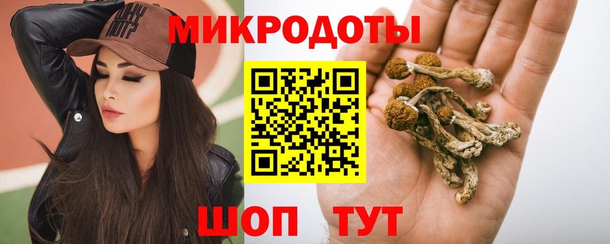 Псилоцибиновые грибы Cubensis  Липецк  где продают наркотики  Галлюциногенные грибы мухоморы 